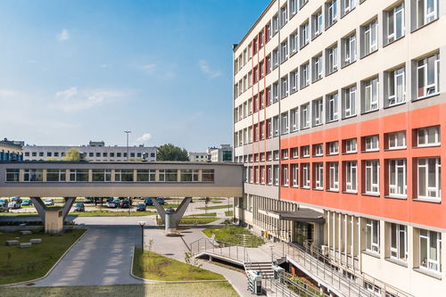 开云app-中国篮球青训教练员专业能力提升及培训体系建设，篮球青训师资格证好考么