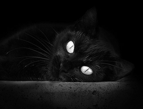 开云体育app-中美蝶泳中段配速策略大不同，中游体育蝶泳视频