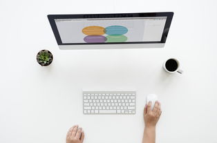 开云体育官网下载-乒乓球训练视频分析系统上线使用,乒乓球技术录像