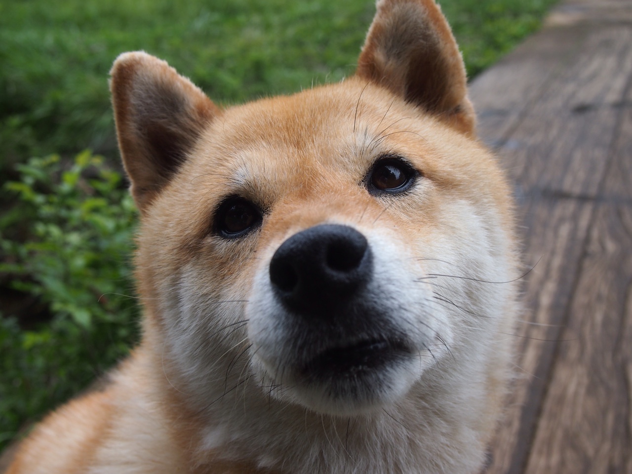 开云体育官网-投篮命中率提升最快的球员观察，投篮命中率高的姿势