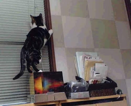 开云体育app在线-职业联赛技术统计系统是否需要全面升级，职业联赛等级