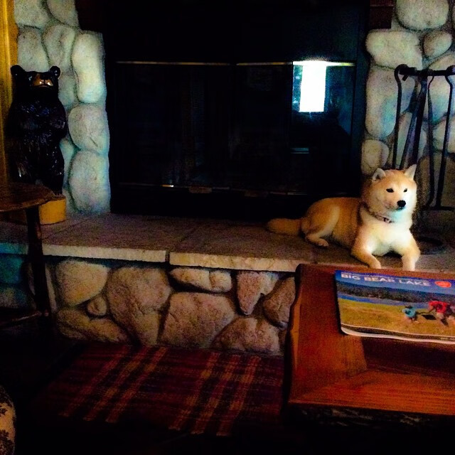 开云体育官网-训练视频反馈系统为选手提升技战术提供助力,训练反馈的作用与意义