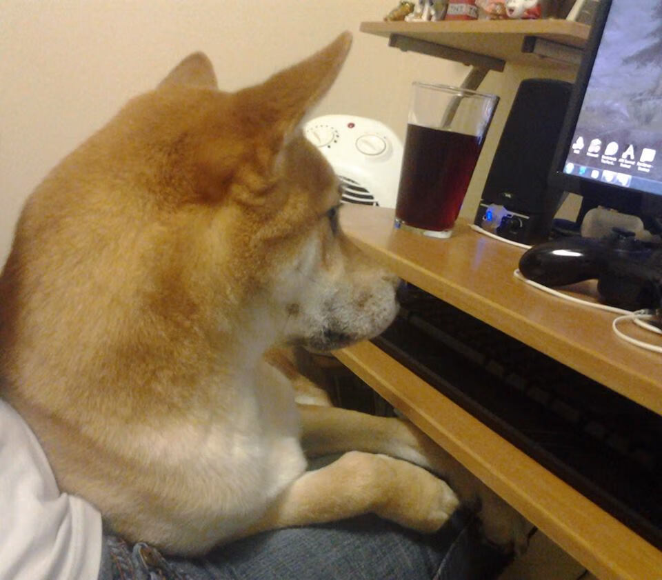 开云体育在线-乌拉圭男篮在南美锦标赛中持续高光，梦想奥运舞台，乌拉圭男篮nba球员