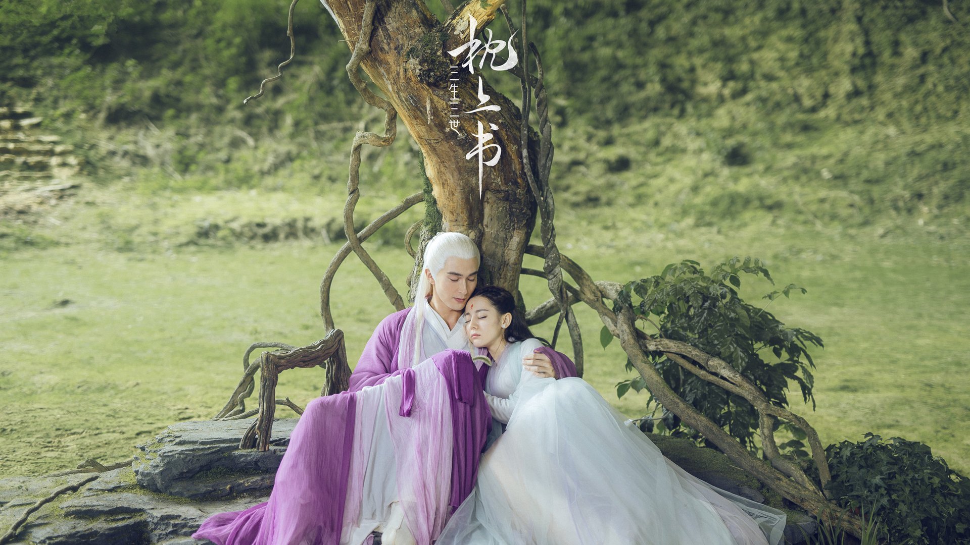 开云体育app官网-张雨霏展现强大比赛耐力，张雨霏的比赛项目