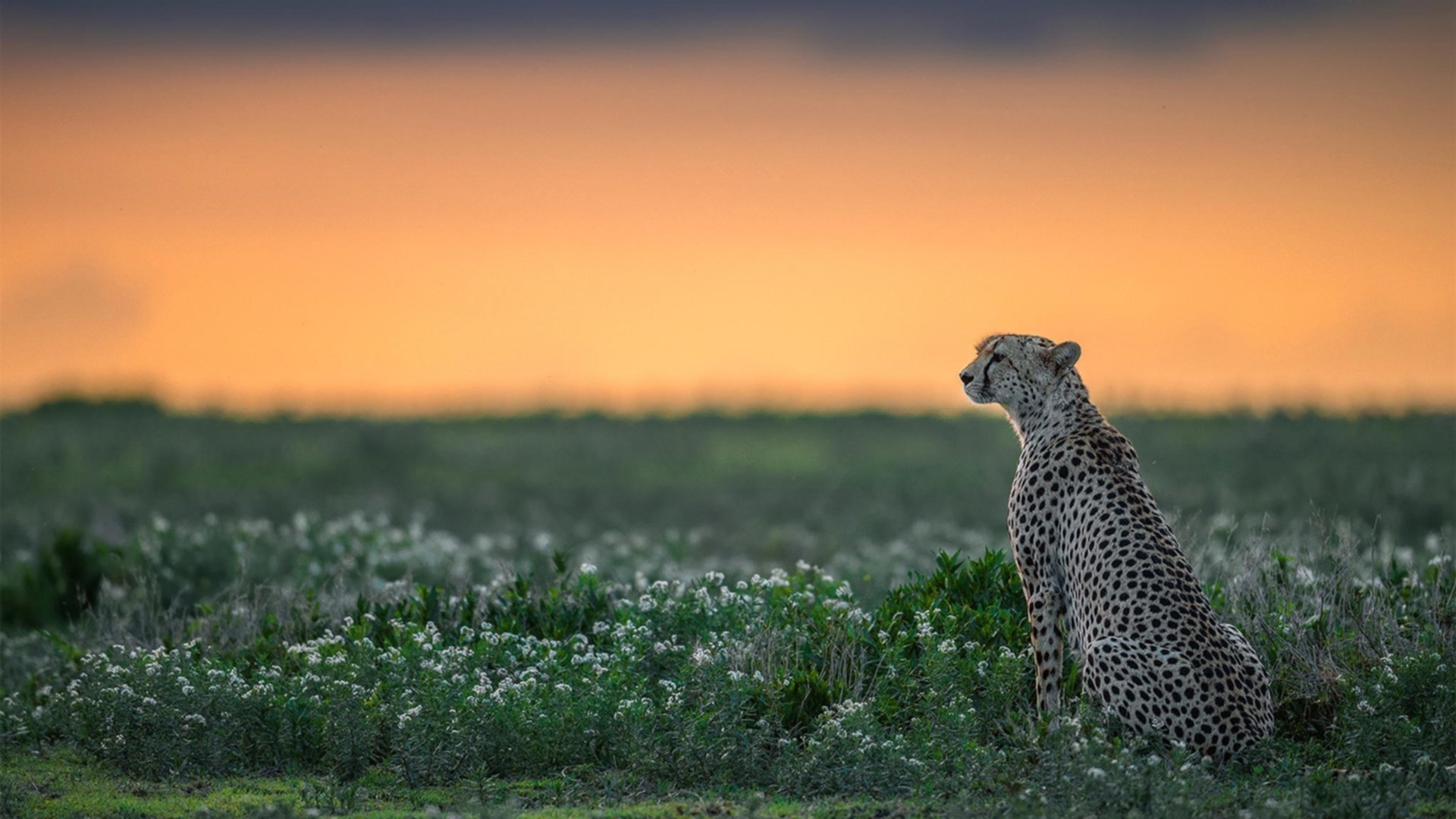 开云体育入口-球员体测成绩数据入档为未来发展提供客观参考依据，nba球员体测