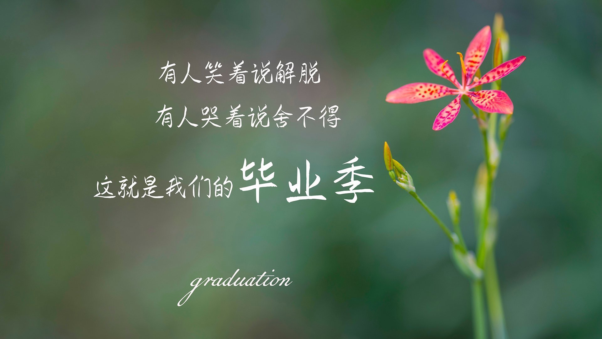 开云体育官网在线-马里特·斯滕伯根展现新生代游泳实力,马滕·斯特克伦博赫