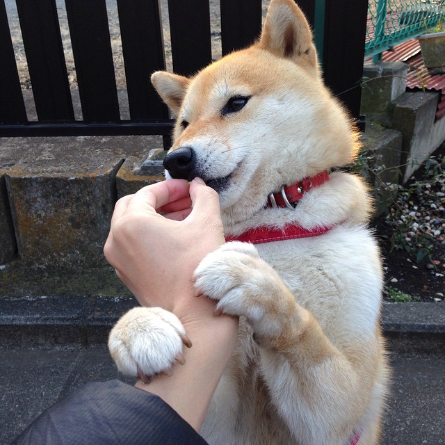 8年正收益,年均5.15%——养老金的“硬实力”展现