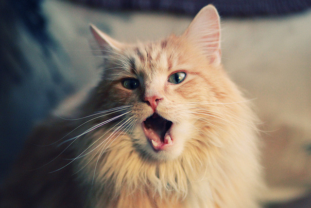 开云体育娱乐-一见·被总书记点名的“有意味”之举